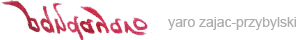 logo Lider